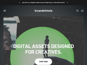Bryan Delimata website screenshot