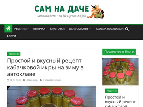 'samnadache.ru' screenshot