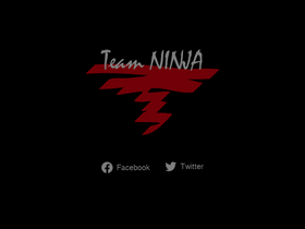 'teamninja-studio.com' screenshot