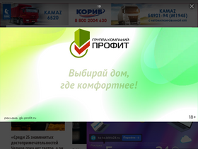 'chelny-biz.ru' screenshot