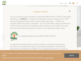 'dabur.com' screenshot