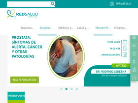 'redsalud.cl' screenshot