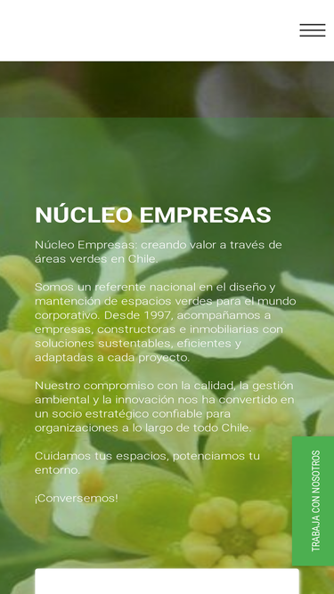 nucleo.cl