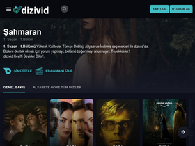'dizivid.co' screenshot