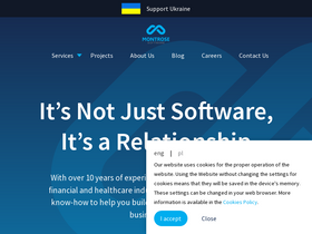 montrosesoftware.com