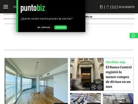 'puntobiz.com.ar' screenshot