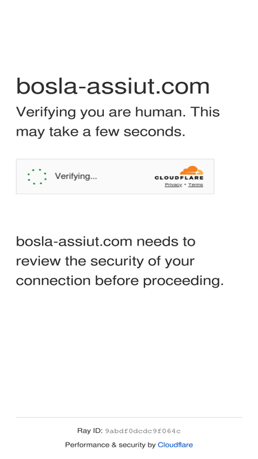 bosla-assiut.com