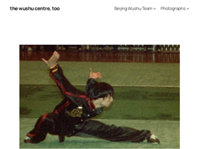 thewushucentre.com