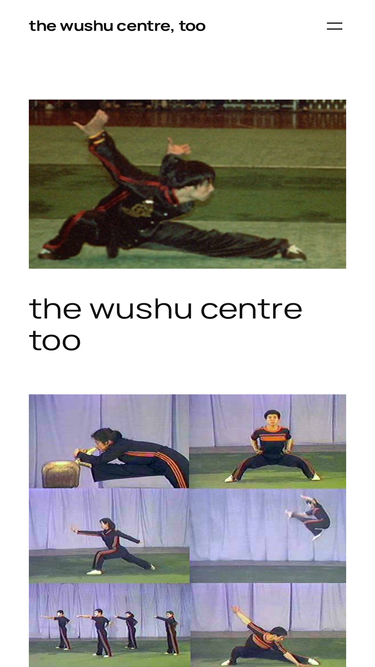 thewushucentre.com