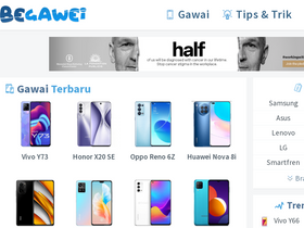 begawei.com