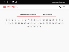 'babybytes.nl' screenshot
