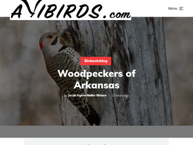 'avibirds.com' screenshot