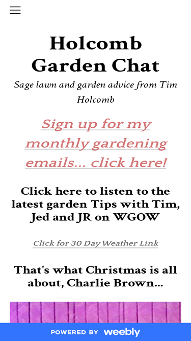 holcombgc.com