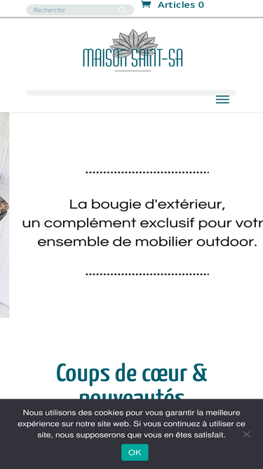 maisonsaintsa.com