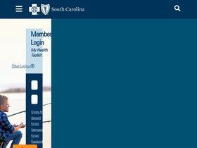 'bcbssc.com' screenshot