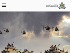 'sang.gov.sa' screenshot