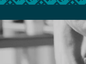 Alpinearmour homepage screenshot