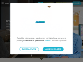'raynet.cz' screenshot