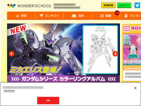 'thewonder.it' screenshot