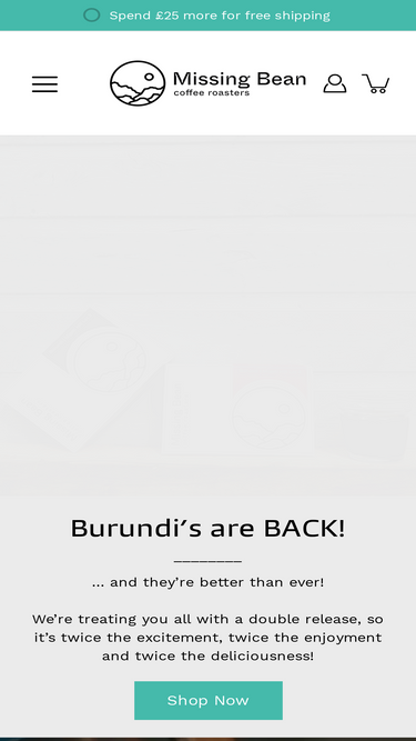 themissingbean.co.uk