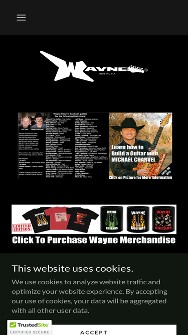 wayneguitars.com
