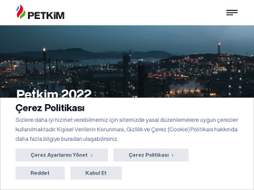 'petkim.com.tr' screenshot