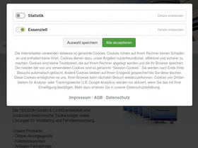 'tecson.de' screenshot