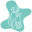 lacrossevet.com