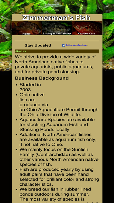 zimmermansfish.com