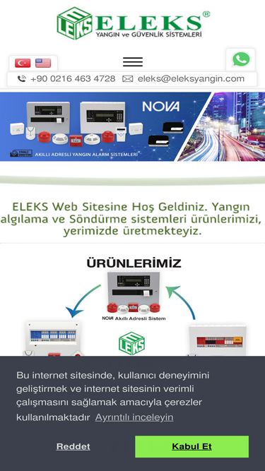eleksyangin.com