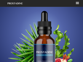 prostadine24.com