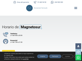 'magnetosur.com' screenshot