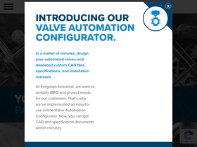 fergusonindustrial.com