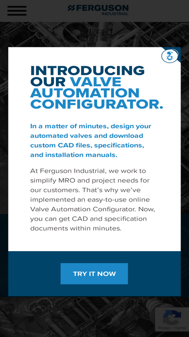 fergusonindustrial.com