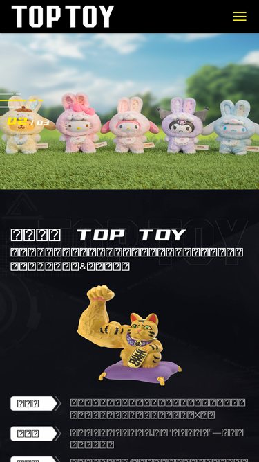 toptoyglobal.com