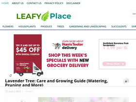 'leafyplace.com' screenshot