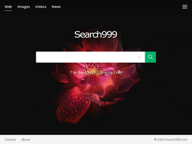 'search999.com' screenshot
