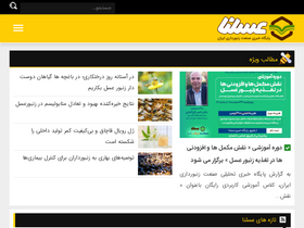 'asalna.ir' screenshot