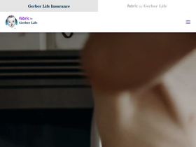 'meetfabric.com' screenshot