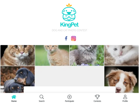 'kingpet.com' screenshot