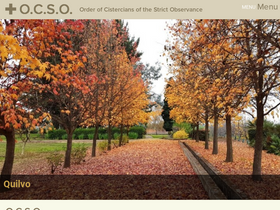 'ocso.org' screenshot