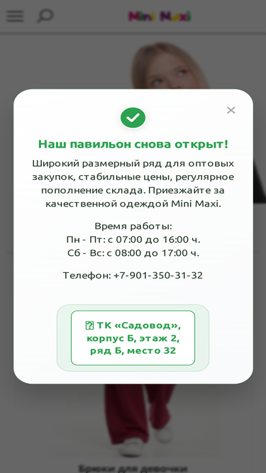 mini-maxi.ru
