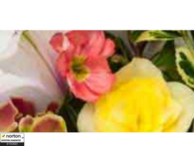 'flowerdelivery.com' screenshot