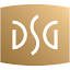 dsginc.net