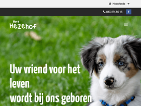 'hezehofpups.be' screenshot