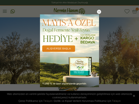 'nerminhanim.com' screenshot