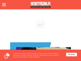 'bezuzyteczna.pl' screenshot