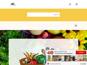 'thehouseandhomestead.com' screenshot