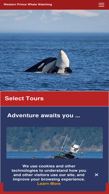 orcawhalewatch.com