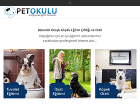 'petokulu.com' screenshot